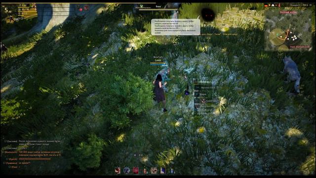 РУ ЗБТ Black Desert - Делаем стартовые квесты (#2) смотреть онлайн