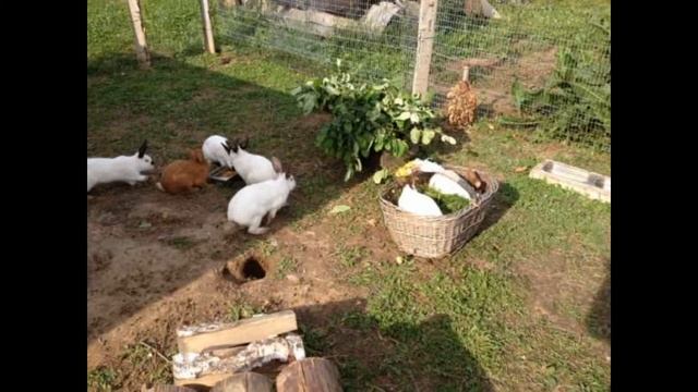 10 июля / Важное дело смотреть онлайн