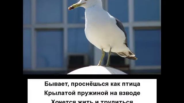 Убойные открытки смотреть онлайн