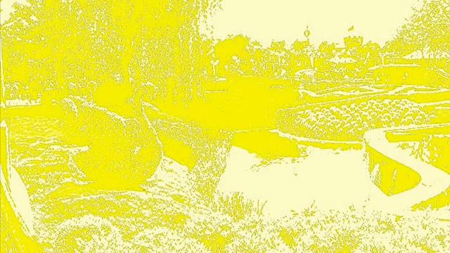 ROBERT SCHUMANN РОБЕРТ ШУМАНН Музыка для детей Kinderszenen смотреть онлайн