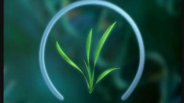 Настоящая мучнистая роса пшеницы (Erysiphe graminis f. sp. tritici) смотреть онлайн