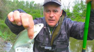 Рыбалка на поплавок 28 мая 2022.