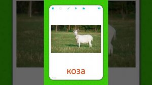 Карточки для детей - Домашние животные