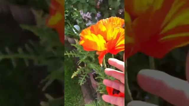 Ремонт дома часть 4, наши выходные смотреть онлайн