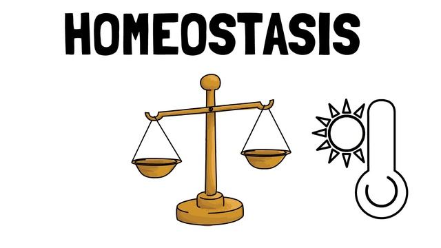 Как полюбить сложную работу. Как полюбить учиться, читать, наводить порядок. Дофамин. смотреть онлайн