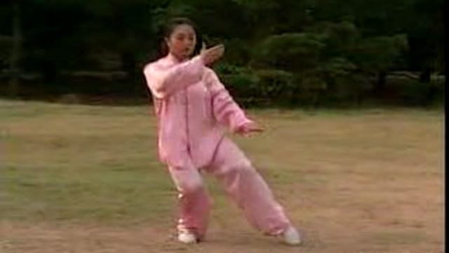 Тайцзи-цюань 24 формы смотреть онлайн