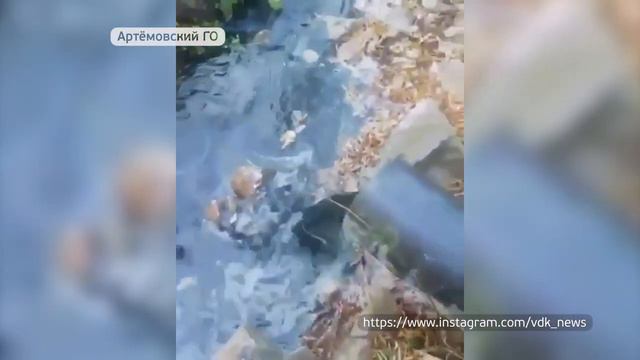 В приморских реках гибнет рыба смотреть онлайн