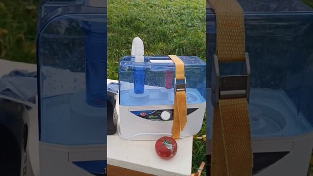 Обработка пчел щавелевой кислоты холодным паром. смотреть онлайн