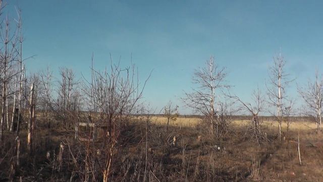 на охоту весной 23 смотреть онлайн