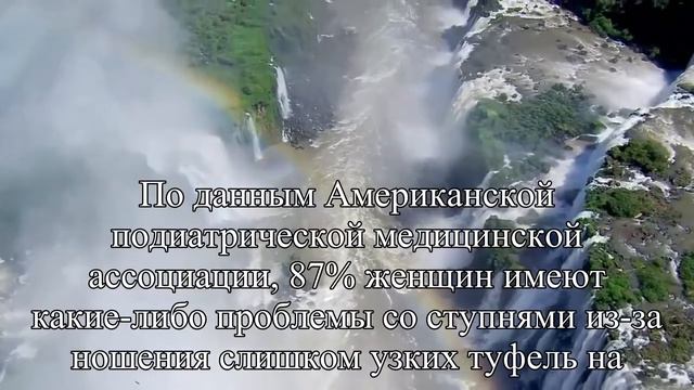 Ради туфель на каблуке женщины отрезают себе пальцы — Статья смотреть онлайн