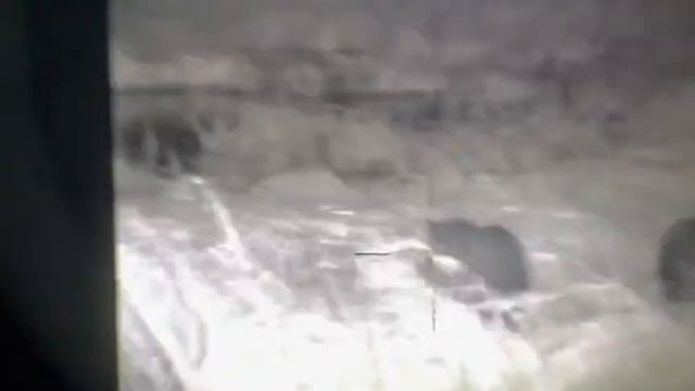 Wildboar Hunting-Yukon N475s