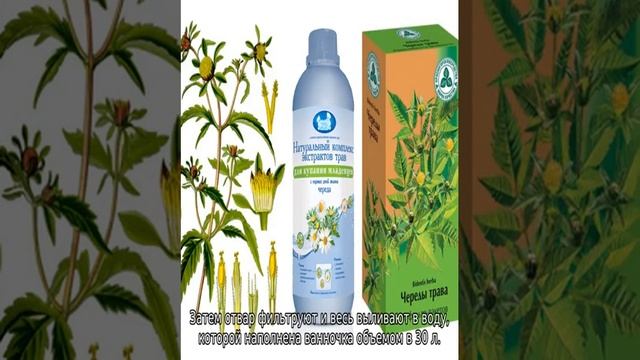 Череда для купания новорожденных — для чего назначают смотреть онлайн