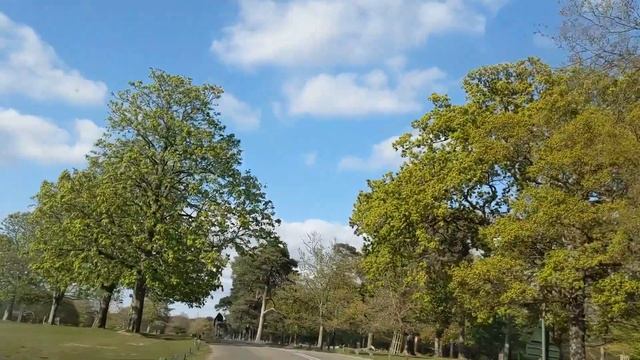 Richmond Park in London | London | RichmondPark | Richmond Park in Summer смотреть онлайн