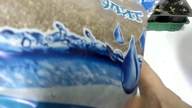 ЭУСТОМА! ПОРА ПИКИРОВАТЬ БЕЗ ОШИБОК!!!! Этап 4. Выбираем правильно грунт!!!!??? смотреть онлайн