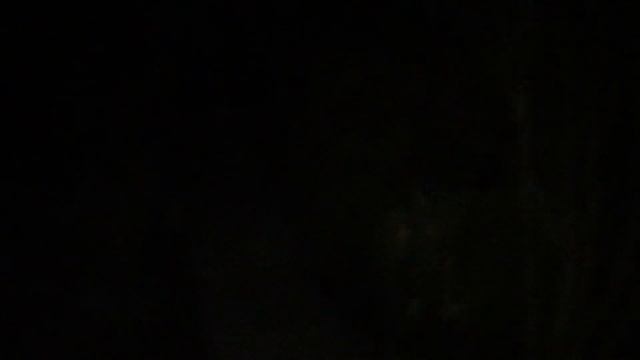 Сочи. Каждый вечер слышим шакалов... какой страшный смех... смотреть онлайн