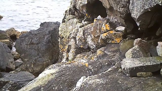Shetland Otter 2 смотреть онлайн