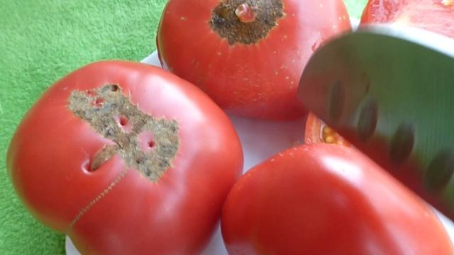 Сорта томатов в разрезе Верна оранжевая Воловье сердце минусинское Восставший звездный истребитель смотреть онлайн