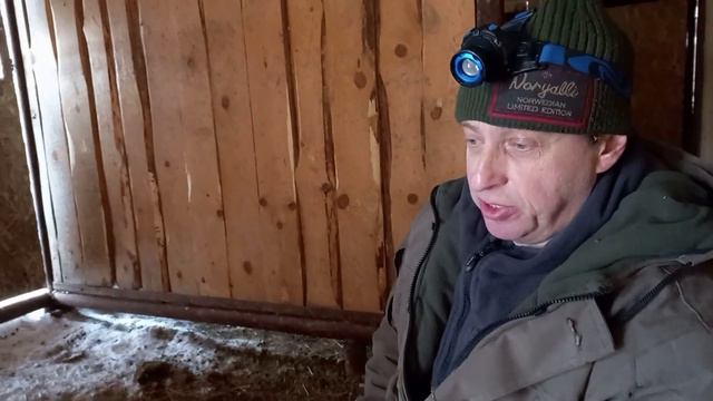 О тонкостях нашей работы с дикими копытными в условиях суровой зимы смотреть онлайн