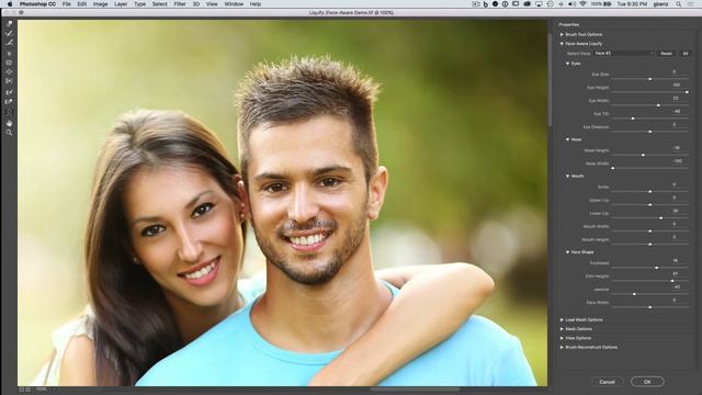 Face-Aware Liquify смотреть онлайн