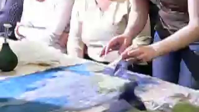 Шерстяная акварель. Часть 13