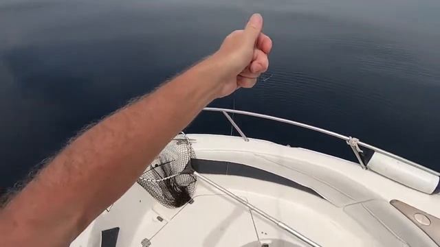 Рыбалка Pez araña - Большой морской дракон, или большой морской скорпион! смотреть онлайн