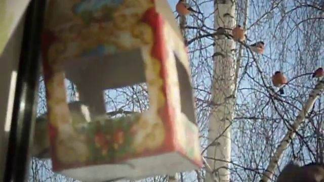 Птичий обед 3