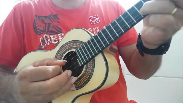 Cavaquinho Luthier Araújo
