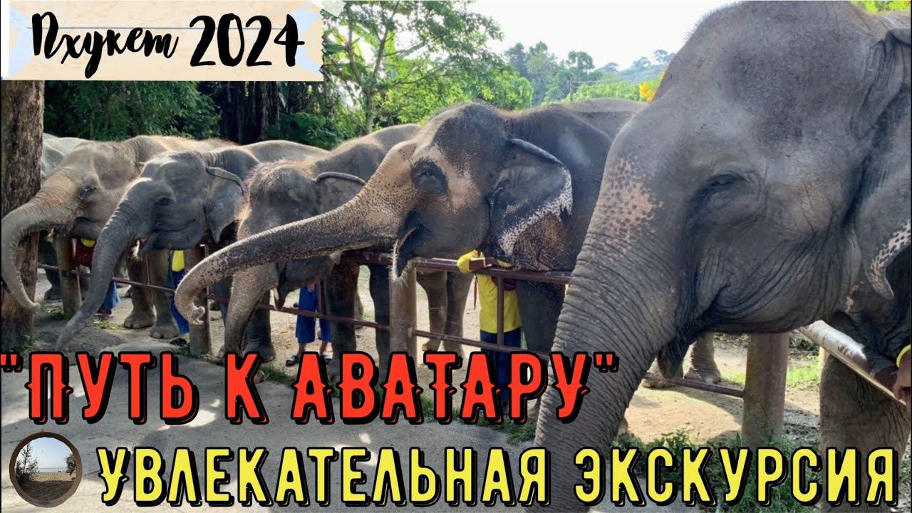 Экскурсия от Anex "Путь к Аватару" /Anex tour "The Path to the Avatar" смотреть онлайн