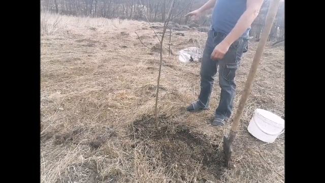 обустройство приусадебного участка с пользой для пасеки смотреть онлайн