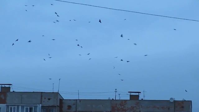 Грачи смотреть онлайн