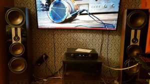 Dali opticon 8 и Atoll in 200 signature