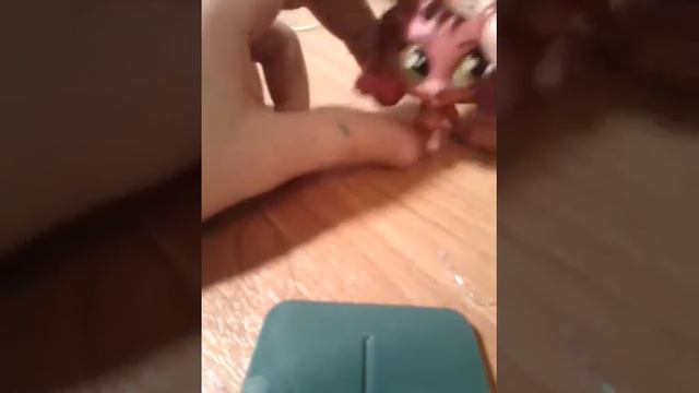 Распаковка нового пета смотреть онлайн