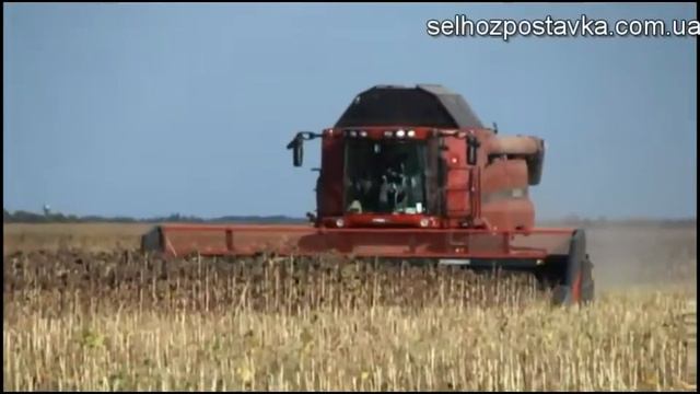Жатки для уборки подсолнечника Dominoni смотреть онлайн