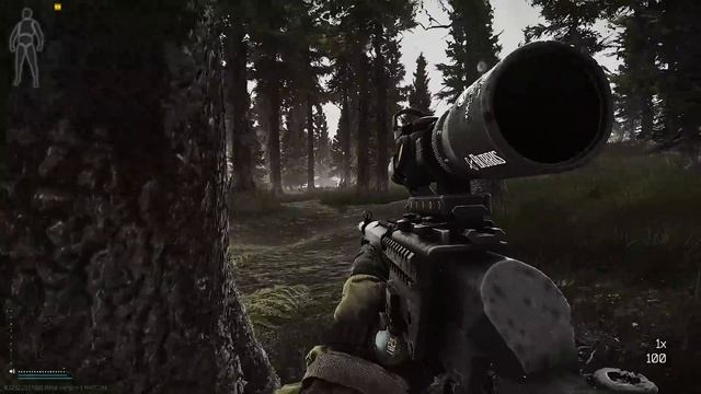 The SKS Is Surprisingly Good Late Wipe! Lowest Recoil & Budget Build Guide смотреть онлайн