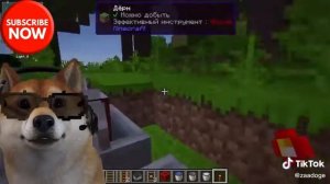 🐶Пес Стример🐶 - ПЕС СТРИМЕР #minecraft #minecraftbuilding #minecrafttips #minecrafttutorial #fyp