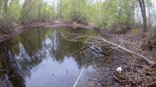 ЛОВЛЯ РОТАНА НА НЕОГРУЖЕННЫЙ СИЛИКОН. ЛОВЛЯ РОТАНА. смотреть онлайн