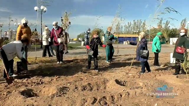 Работы по озеленению Волжского продолжаются смотреть онлайн