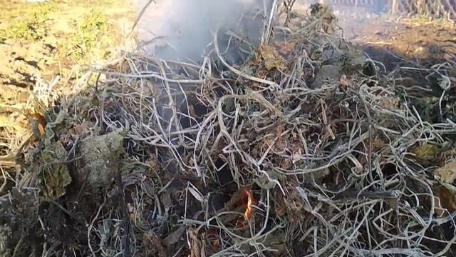 ТРУДОВОЙ ДЕРЕВЕНСКИЙ ДЕНЬ-ОКТЯБРЬ смотреть онлайн