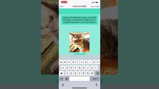 Мобильное приложение в Thunkable