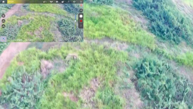Test Gimbal Baru Drone MJX MG 1 смотреть онлайн