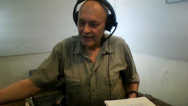 7 стрим: собаки и безопасность смотреть онлайн