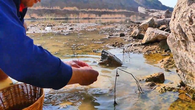At low tide Freshwater fish line the beach. gold nugget & many gems in the water & diamond blue. смотреть онлайн
