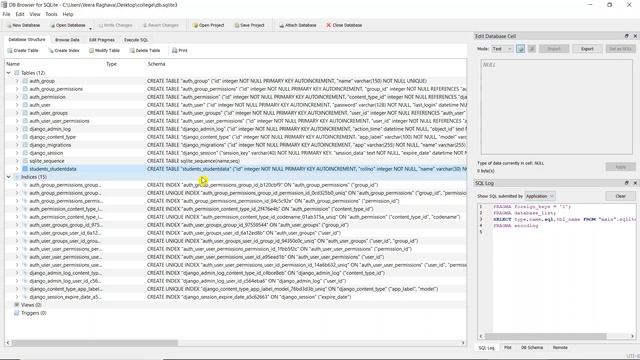 17 Django Bypassing Model Layer смотреть онлайн