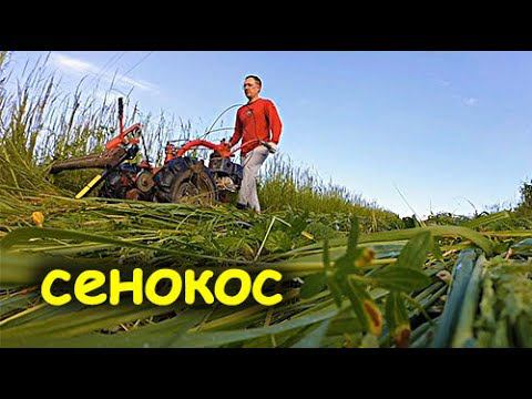 САМЫЙ СЕНОКОС И НАНОТЕХНОЛОГИИ // КОСИЛКА ЗАРЯ СЛОМАЛАСЬ смотреть онлайн