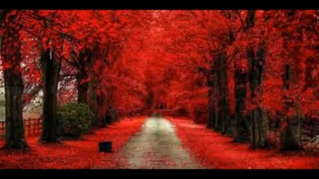 Виды мурджиитов Абу Усама смотреть онлайн