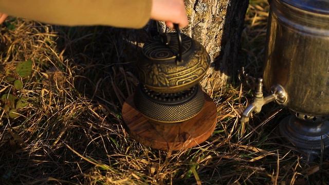 Organic Tea, ASMR VIDEO, Tea at the Forest смотреть онлайн