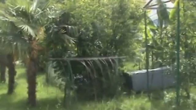 Сочи. Троице-Георгиевский женский монастырь. (9 июня 2016 года) смотреть онлайн