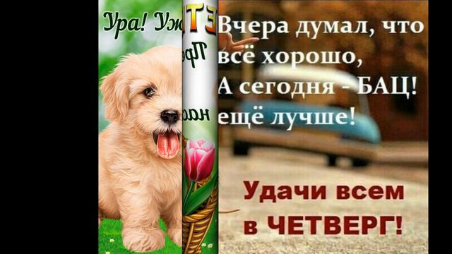 Веселое поздравления друзьям в четверг смотреть онлайн