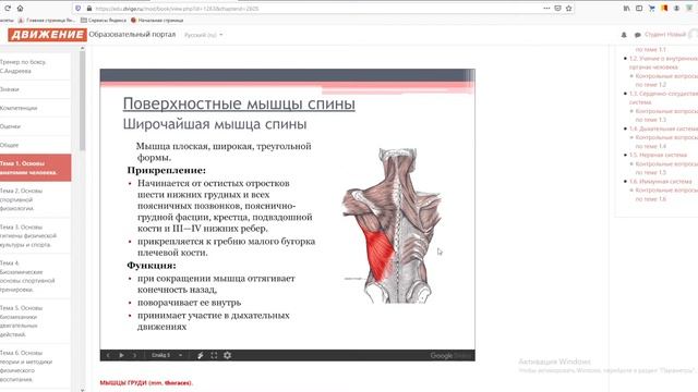 Как проходит обучение смотреть онлайн