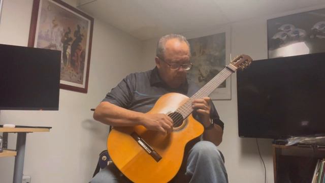 Pure Imagination From “Willy Wonka And The Chocolate Factory” Solo Guitar - Pat Blayney